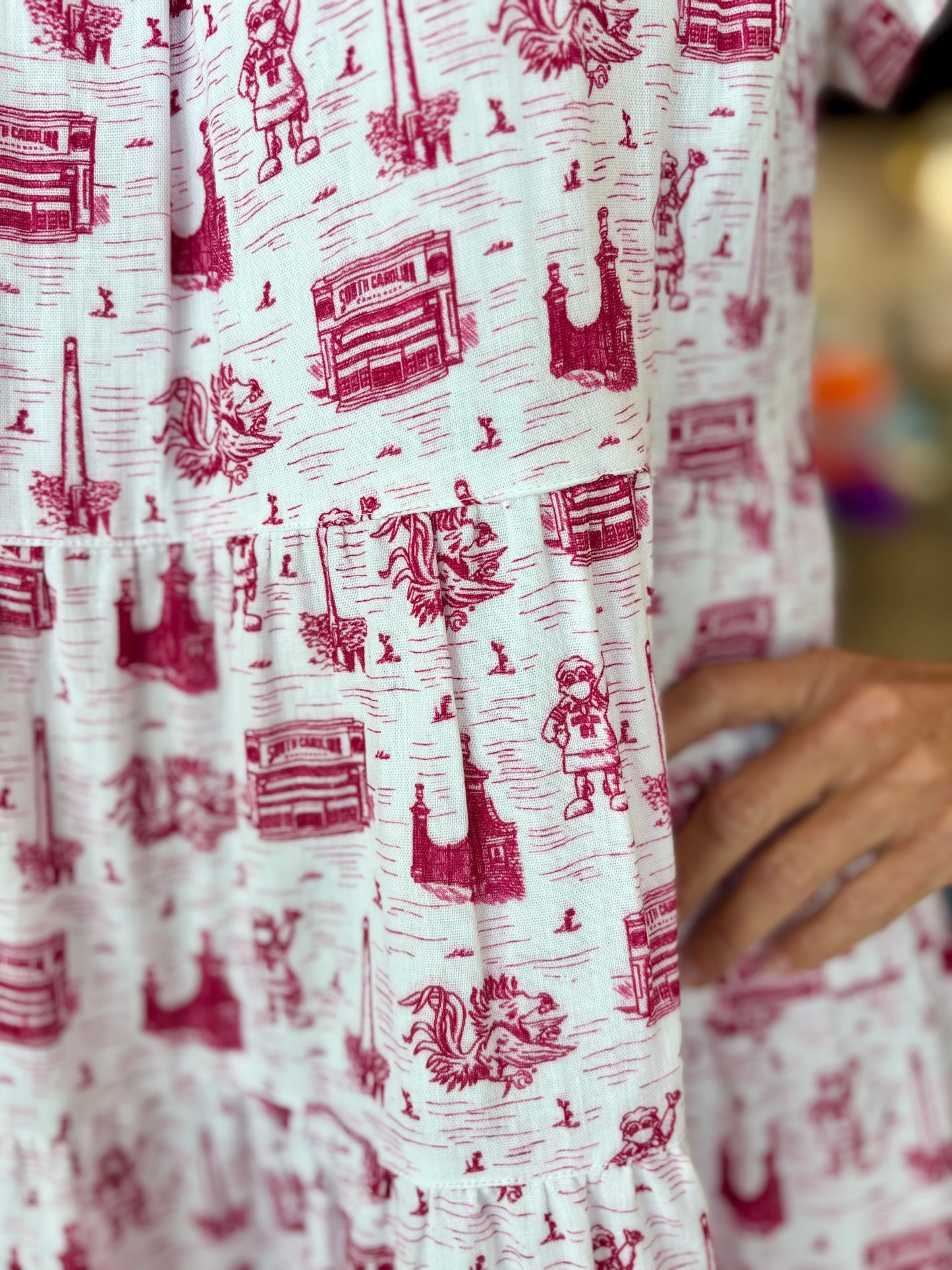 The Toile Flutter Sleeve Dress South Carolina