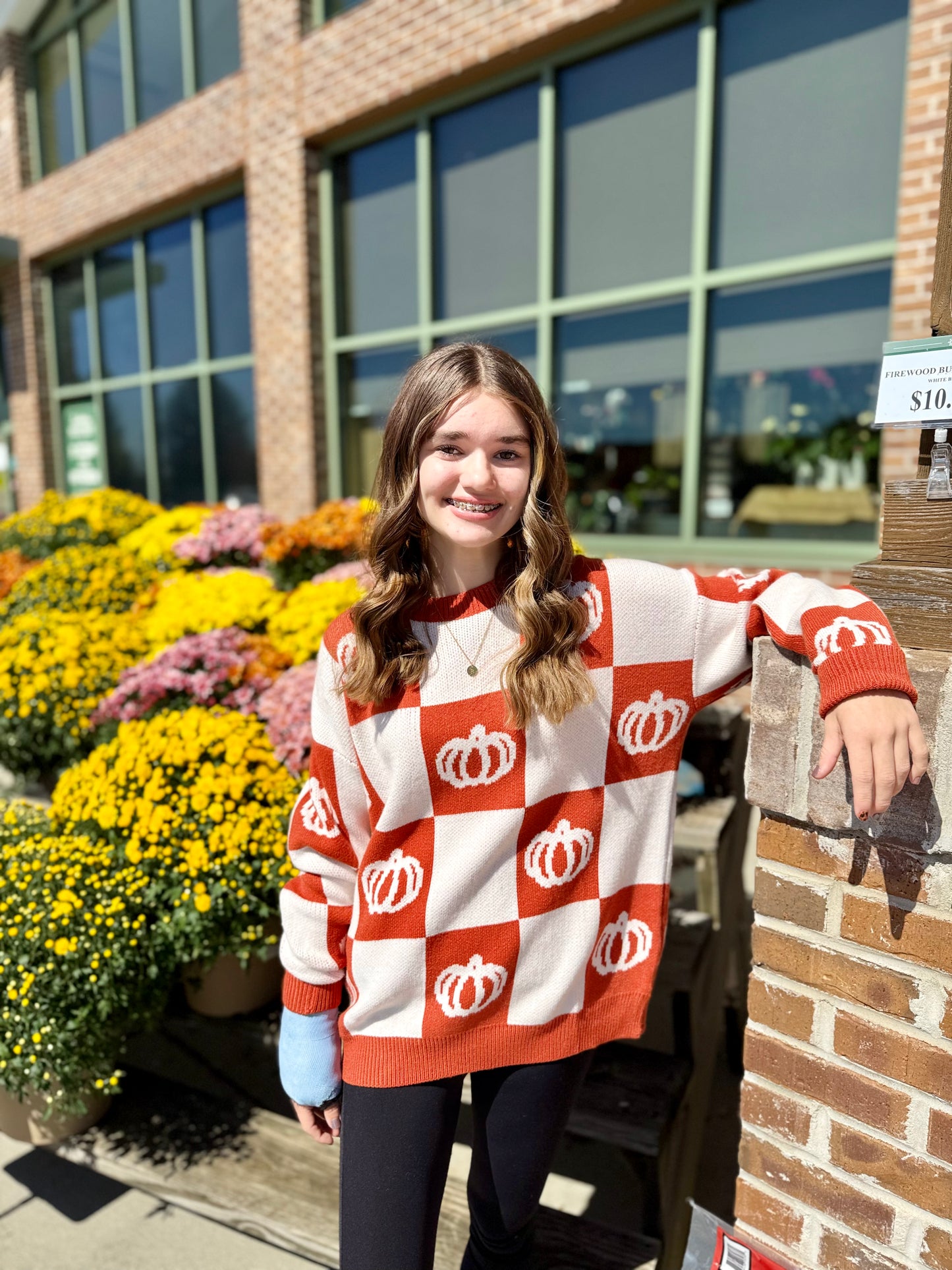 Ribbed Crew Neck Checkerboard Sweater