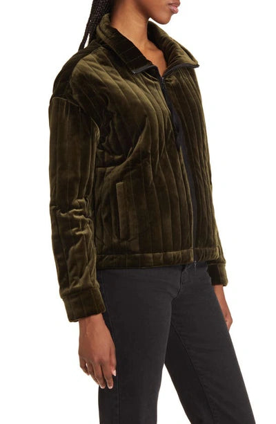 Shea Quilted Velvet Jacket - Lysse - Green Meadow