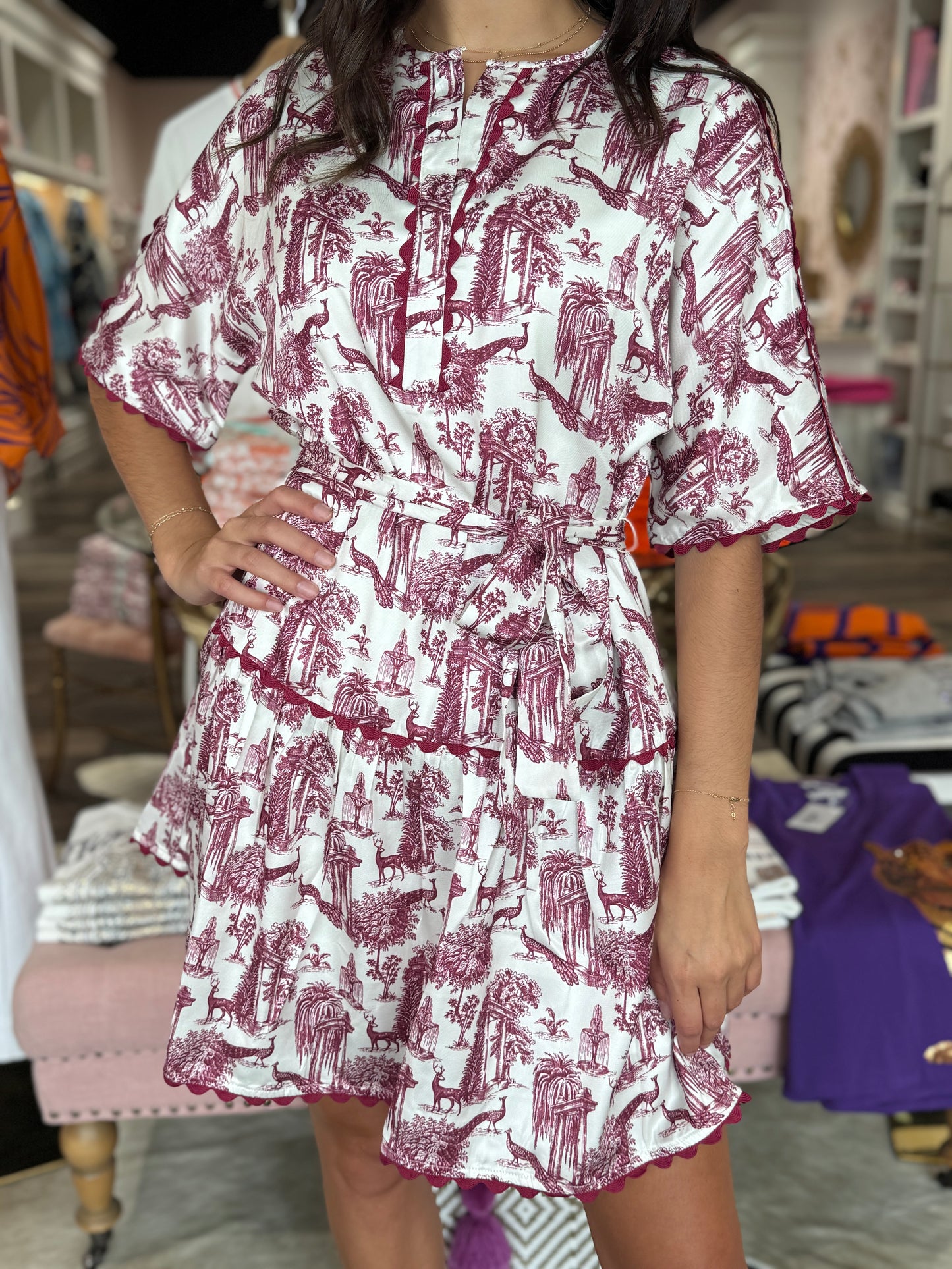 Joy Joy Ric Rac Trim Maroon Parisian Garden Dress