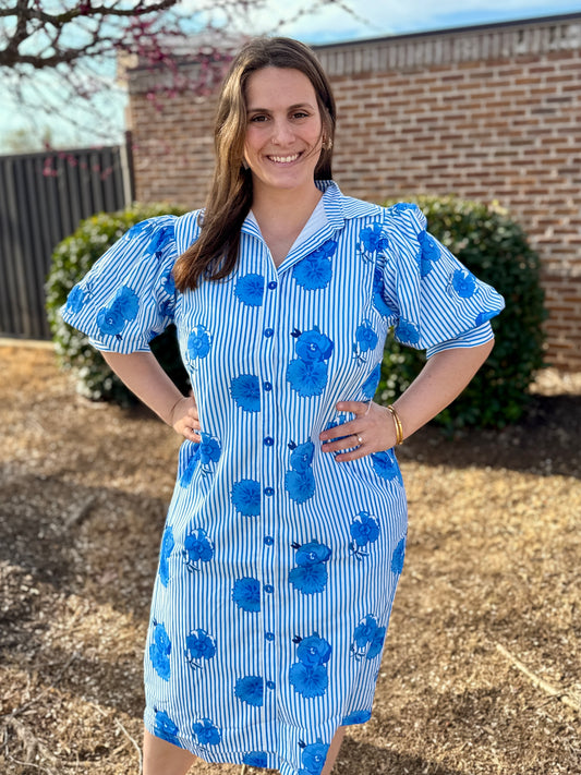 Jade Puff Sleeve Shirt Dress Bluebell Stripe