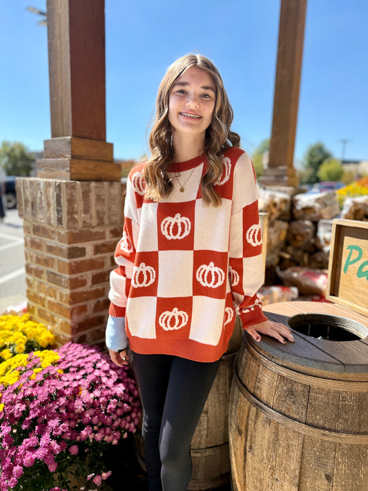 Ribbed Crew Neck Checkerboard Sweater